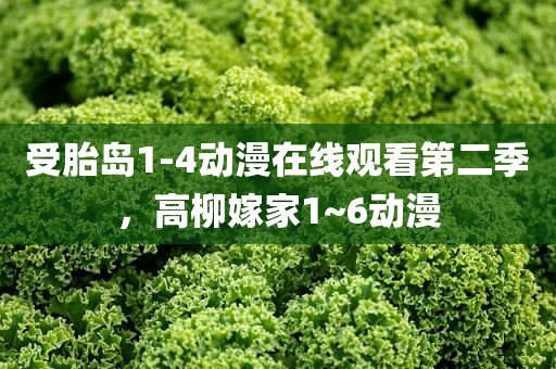 受胎岛1-4动漫在线观看第二季，高柳嫁家1~6动漫