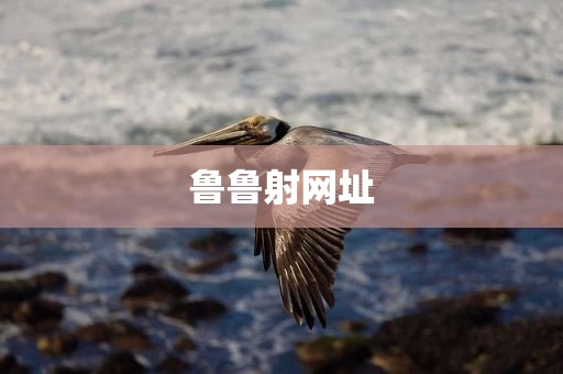 鲁鲁射网址