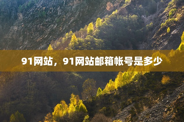 91网站，91网站邮箱帐号是多少