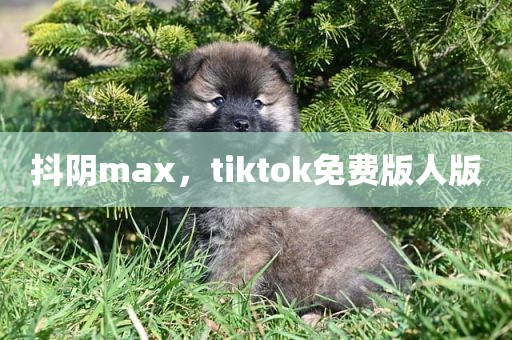 抖阴max，tiktok免费版人版