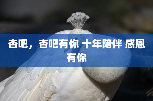 杏吧，杏吧有你 十年陪伴 感恩有你