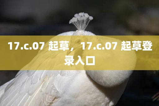 17.c.07 起草，17.c.07 起草登录入口