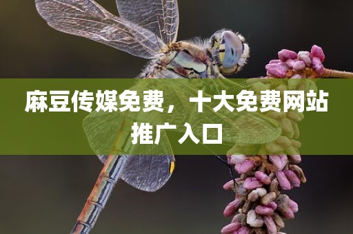 麻豆传媒免费，十大免费网站推广入口