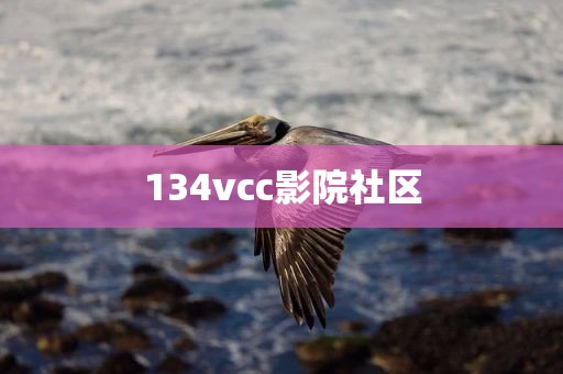 134vcc影院社区
