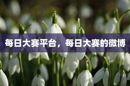 每日大赛平台，每日大赛的微博