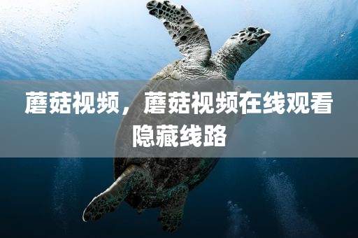 蘑菇视频，蘑菇视频在线观看隐藏线路