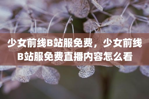少女前线B站服免费，少女前线B站服免费直播内容怎么看