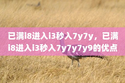 已满i8进入i3秒入7y7y，已满i8进入i3秒入7y7y7y9的优点