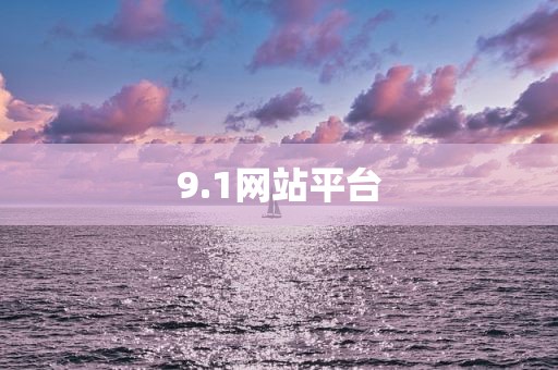 9.1网站平台