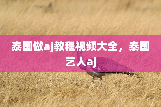 泰国做aj教程视频大全，泰国艺人aj