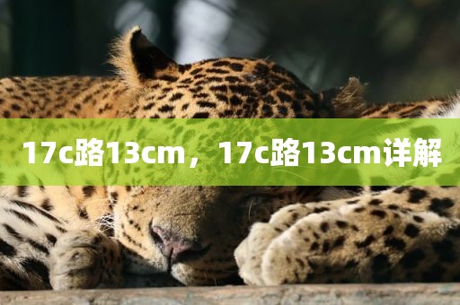 17c路13cm，17c路13cm详解