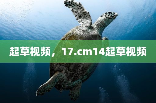 起草视频，17.cm14起草视频