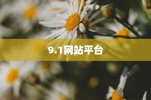 9.1网站平台
