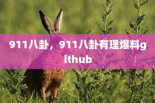 911八卦，911八卦有理爆料github