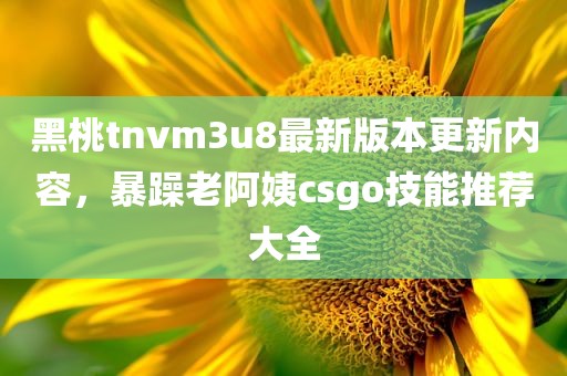 黑桃tnvm3u8最新版本更新内容，暴躁老阿姨csgo技能推荐大全