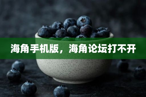 海角手机版，海角论坛打不开