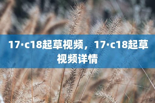 17·c18起草视频，17·c18起草视频详情