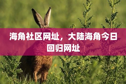海角社区网址，大陆海角今日回归网址