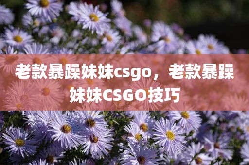 老款暴躁妹妹csgo，老款暴躁妹妹CSGO技巧