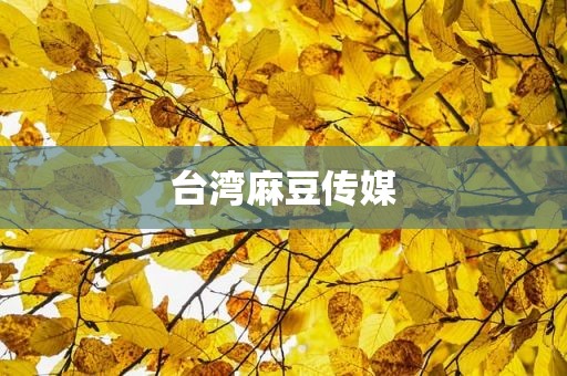 台湾麻豆传媒