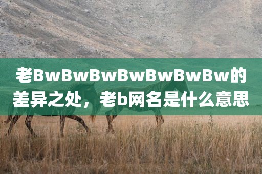 老BwBwBwBwBwBwBw的差异之处，老b网名是什么意思