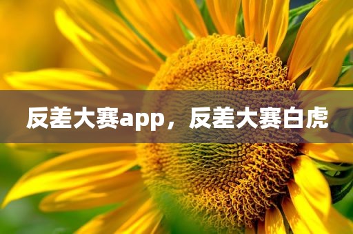 反差大赛app，反差大赛白虎