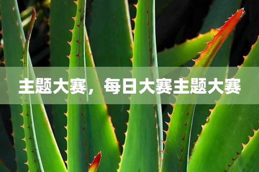 主题大赛，每日大赛主题大赛
