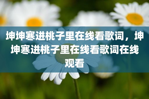 坤坤寒进桃子里在线看歌词，坤坤寒进桃子里在线看歌词在线观看