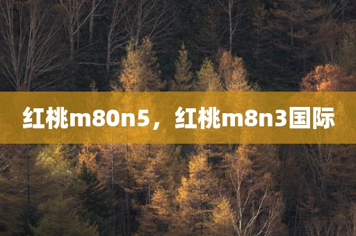 红桃m80n5，红桃m8n3国际