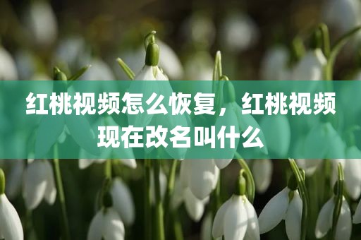 红桃视频怎么恢复，红桃视频现在改名叫什么