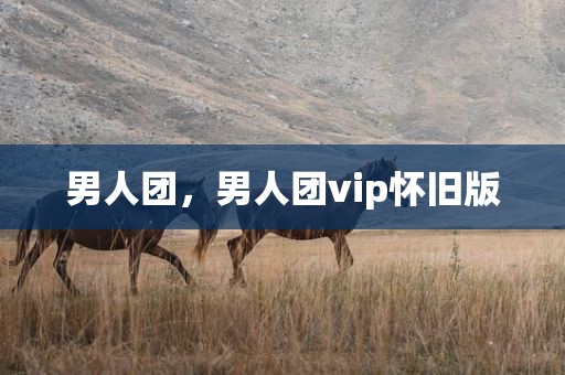 男人团，男人团vip怀旧版