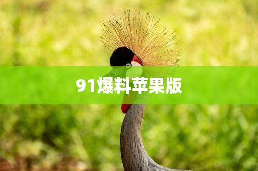 91爆料苹果版