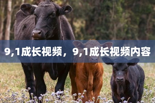 9,1成长视频，9,1成长视频内容