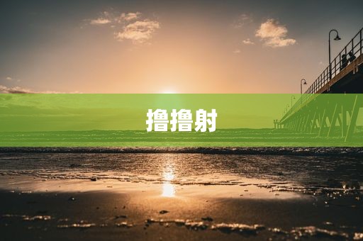 撸撸射