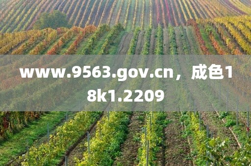 www.9563.gov.cn，成色18k1.2209