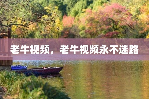 老牛视频，老牛视频永不迷路