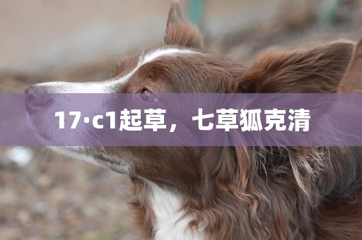 17·c1起草，七草狐克清