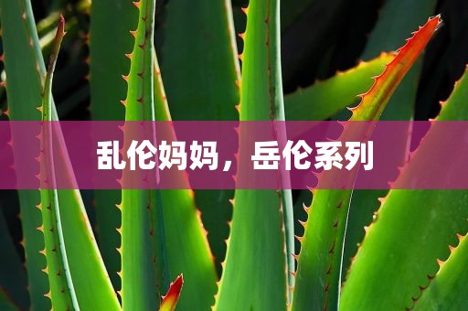 乱伦妈妈，岳伦系列