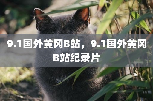 9.1国外黄冈B站，9.1国外黄冈B站纪录片