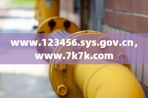 www.123456.sys.gov.cn，www.7k7k.com