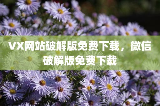 VX网站破解版免费下载，微信破解版免费下载