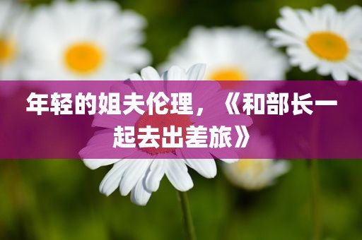 年轻的姐夫伦理，《和部长一起去出差旅》