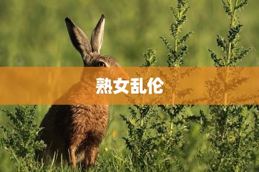 熟女乱伦