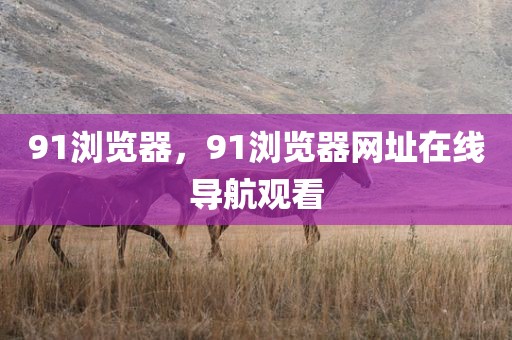 91浏览器，91浏览器网址在线导航观看