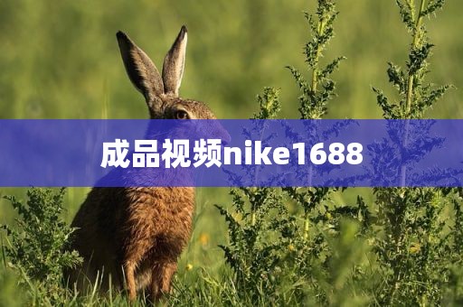 成品视频nike1688