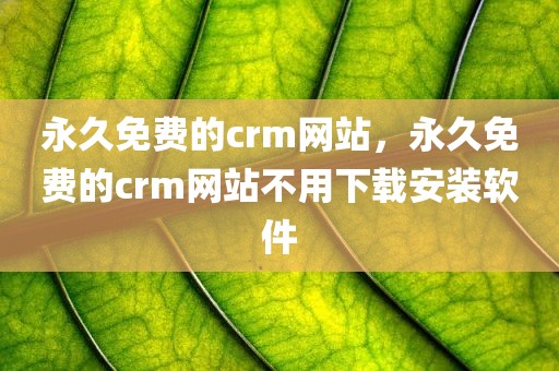 永久免费的crm网站，永久免费的crm网站不用下载安装软件