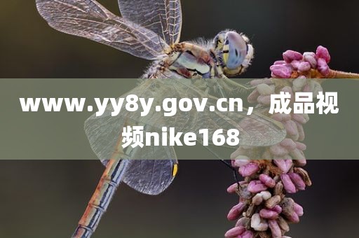 www.yy8y.gov.cn，成品视频nike168
