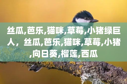 丝瓜,芭乐,猫咪,草莓,小猪绿巨人，丝瓜,芭乐,猫咪,草莓,小猪,向日葵,榴莲,西瓜