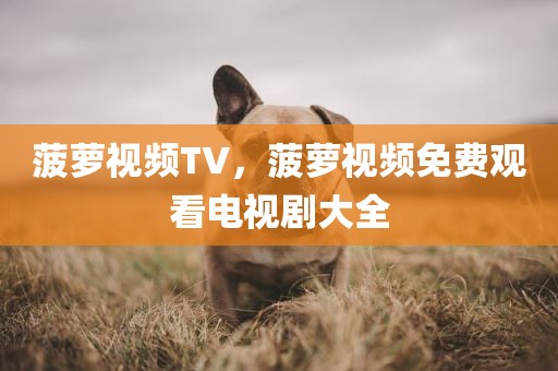 菠萝视频TV，菠萝视频免费观看电视剧大全