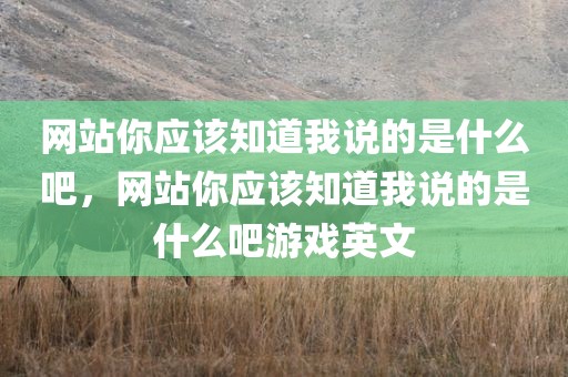 网站你应该知道我说的是什么吧，网站你应该知道我说的是什么吧游戏英文